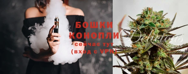 стаф Нефтегорск