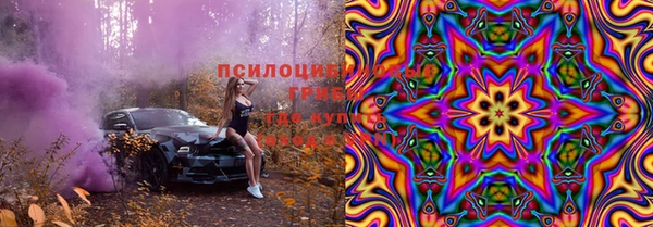 сатива Алексеевка