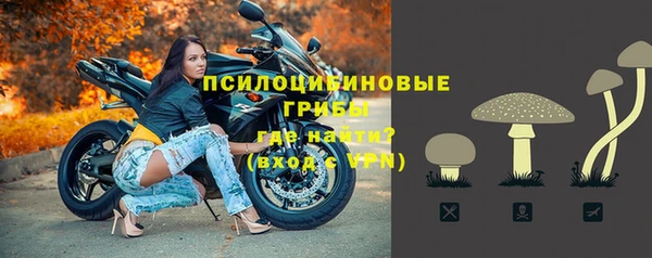 2c-b Алзамай