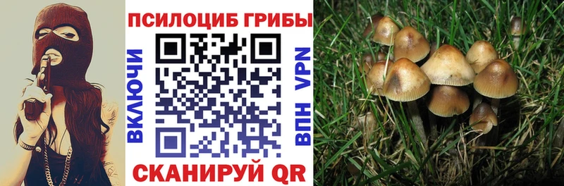 Псилоцибиновые грибы Magic Shrooms  цена наркотик  Ясный 